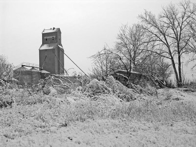 Scobey MT - Starkness