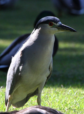g1/72/758672/3/105580217.lLBiPyDZ.jpg