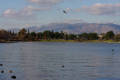Lake Balboa