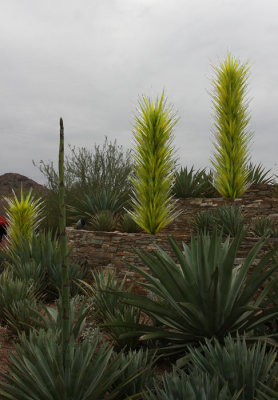 Chihuly's Nature of Glass