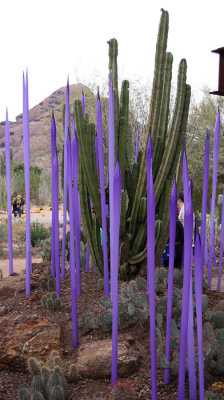 Chihuly's Nature of Glass