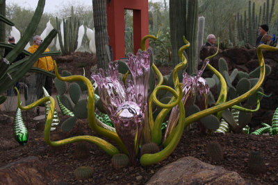 Chihuly's Nature of Glass