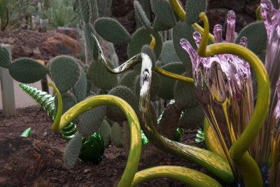 Chihuly's Nature of Glass