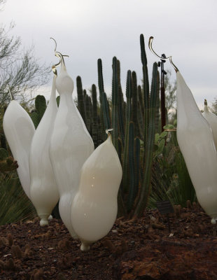 Chihuly's Nature of Glass