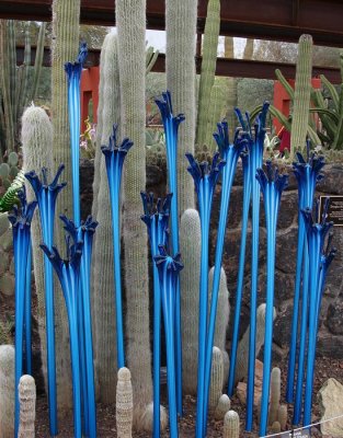 Chihuly's Nature of Glass