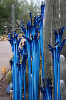 Chihuly's Nature of Glass