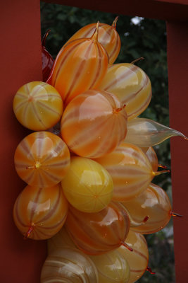 Chihuly's Nature of Glass