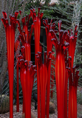 Chihuly's Nature of Glass