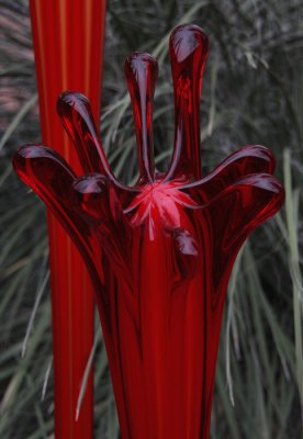 Chihuly's Nature of Glass