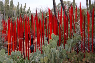 Chihuly's Nature of Glass