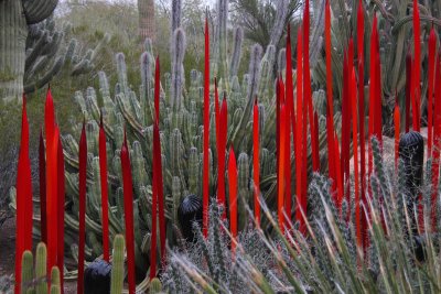 Chihuly's Nature of Glass