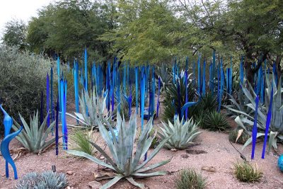 Chihuly's Nature of Glass