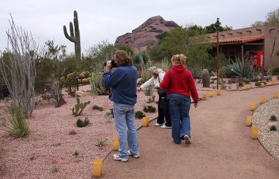 az18.jpg