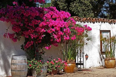 Olivas Adobe