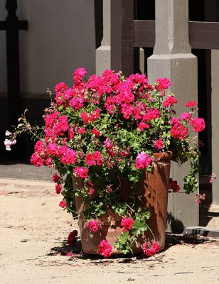 Olivas Adobe