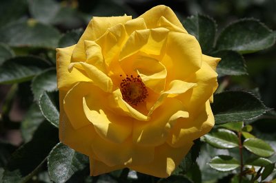 g1/72/758672/3/117242377.1OMUxcTS.jpg