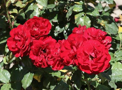 g1/72/758672/3/117242392.B7LaBBMi.jpg