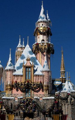 Disneyland 2010