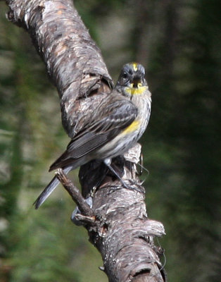 g1/72/758672/3/132120577.YsenOCX8.jpg