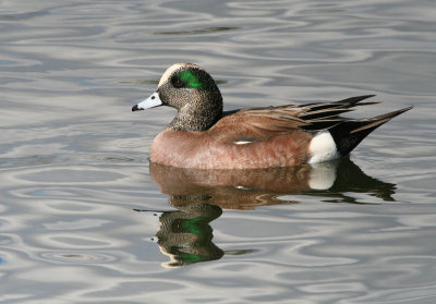 Lake Balboa