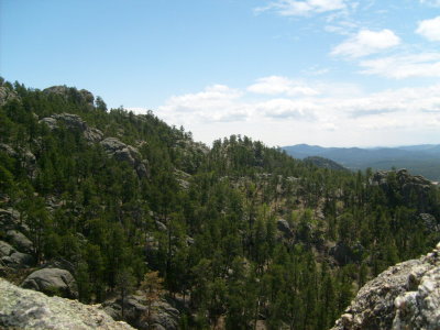 g1/72/761172/3/146275067.SOKqxBTx.jpg