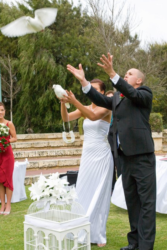The Ceremony