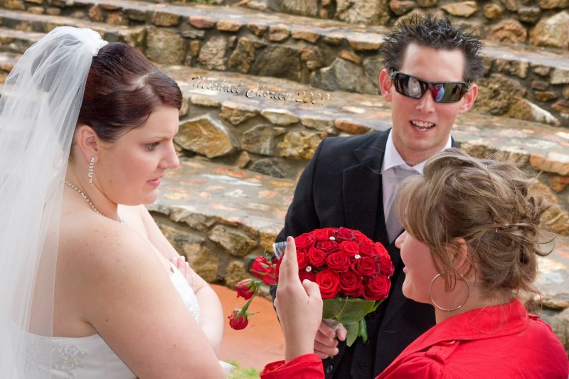 Bridal Party