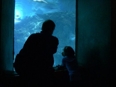 New England Aquarium