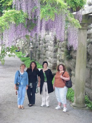 Framed in Wisteria