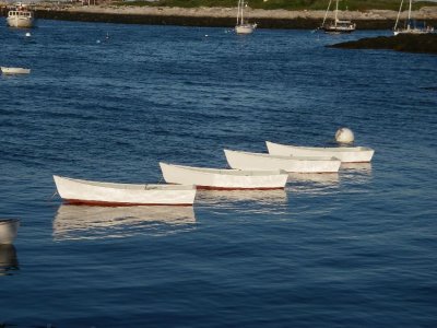 IMGP4850.JPG