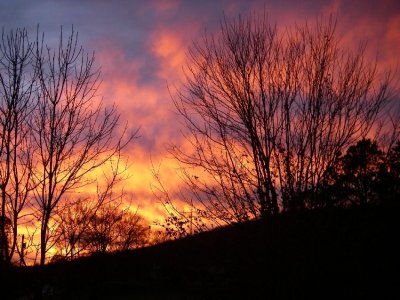 East Tennessee color and brightness
