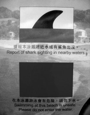 6_sharkWarningHongKong.JPG