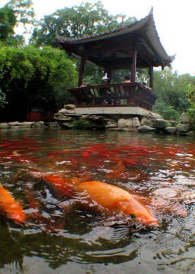Fish  Pagoda.JPG