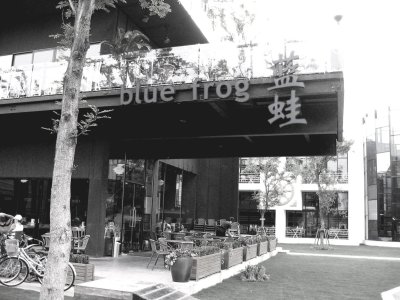 12_Blue Frog Biyun.jpg