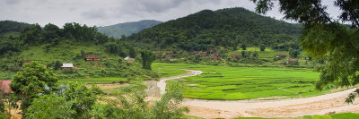 Rice Fields near Son La
