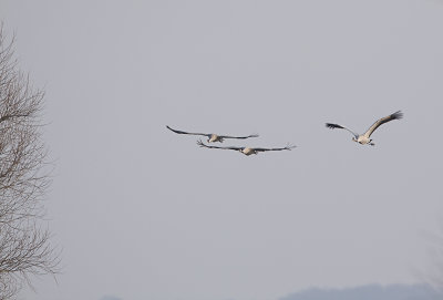 20090306-17.02-30D-3912.jpg