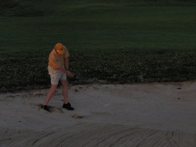 Fitz digs one out