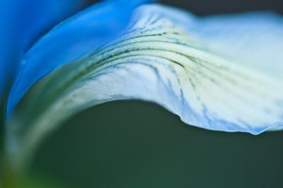 g1/72/824272/3/117727783.CtYrxYbX.jpg