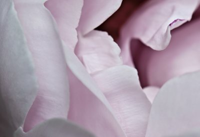 g1/72/824272/3/127574027.HiSkFN7g.jpg