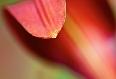 g1/72/824272/3/127990919.8uGB1SCZ.jpg