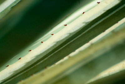 g1/72/824272/3/98033346.TVdXOiqY.jpg