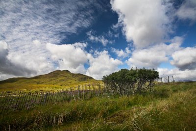 Fence at Wester Ross