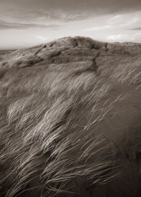 Sanddunes a windy day