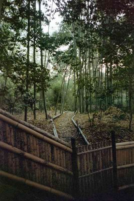 japan02 - 073.jpg
