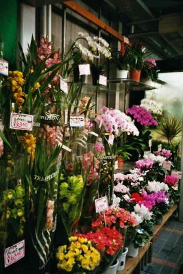 japan02 - 107.jpg