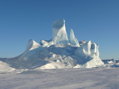 Icebergs trapped in fast ice