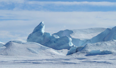 Icebergs trapped in fast ice