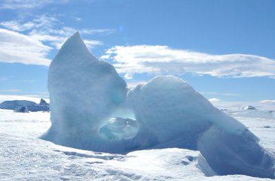 Icebergs trapped in fast ice