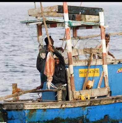 Mirissa fishermen