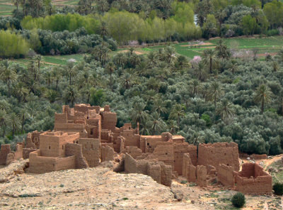 Oasis and kasbah ruins